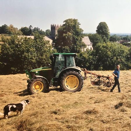 Carey'S Bar & Farmhouse Kilkenny Border Oldleighlin 外观 照片