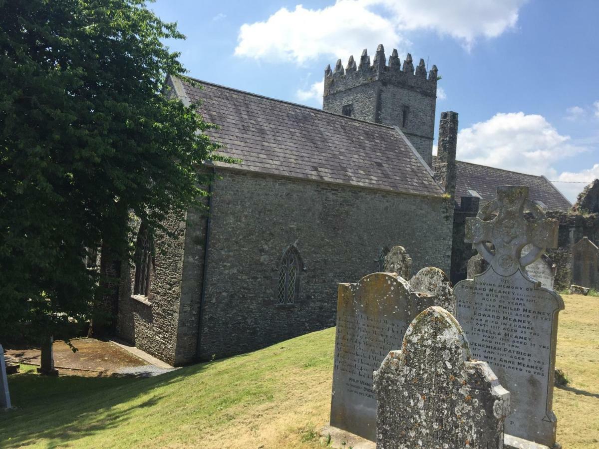 Carey'S Bar & Farmhouse Kilkenny Border Oldleighlin 外观 照片
