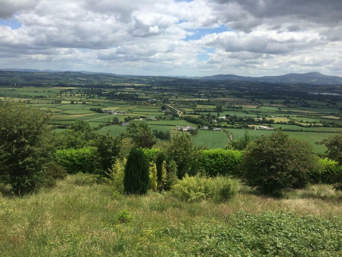 Carey'S Bar & Farmhouse Kilkenny Border Oldleighlin 外观 照片