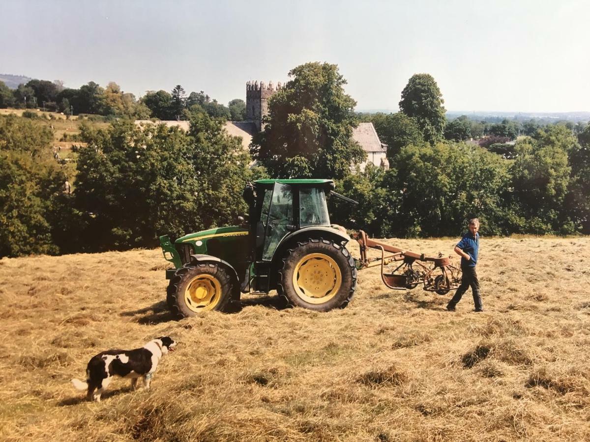 Carey'S Bar & Farmhouse Kilkenny Border Oldleighlin 外观 照片