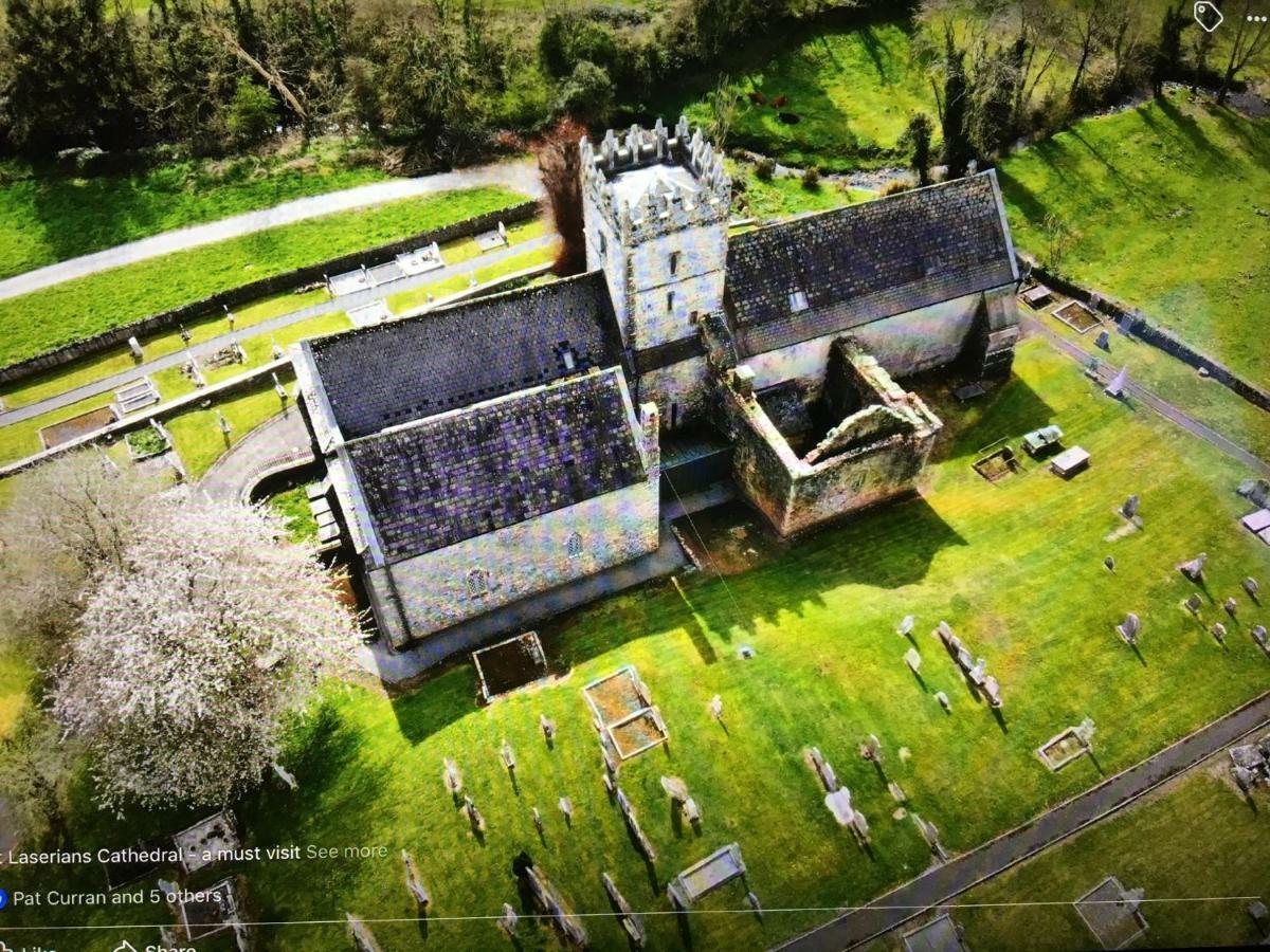 Carey'S Bar & Farmhouse Kilkenny Border Oldleighlin 外观 照片