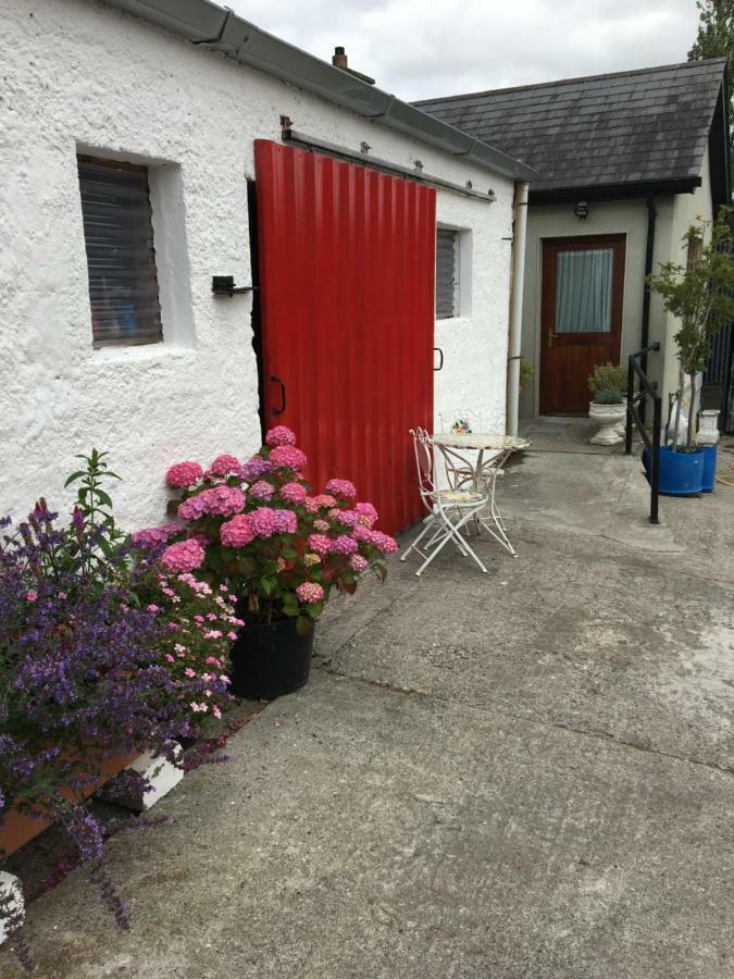 Carey'S Bar & Farmhouse Kilkenny Border Oldleighlin 外观 照片